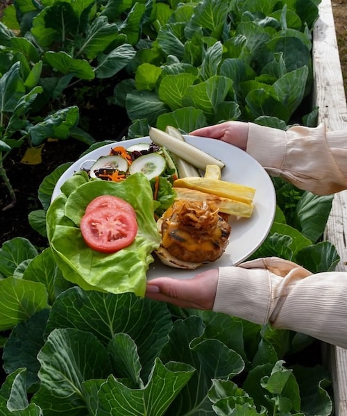A person relaxes in a garden, holding a plate with a lettuce-wrapped burger, tomato slice, cucumber, salad, fries, and vegetables above lush green cabbage plants—capturing the fresh vibe of a summer health spa.